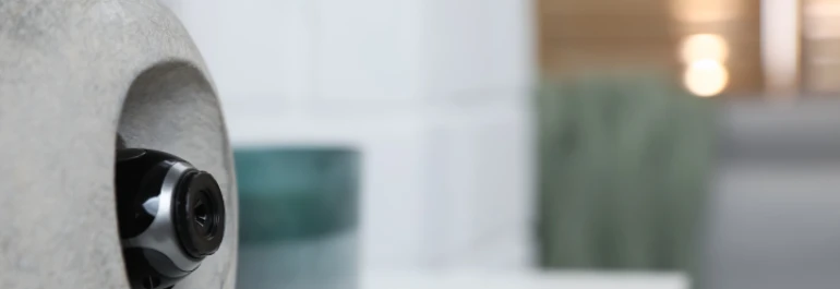  Una cámara camuflada está parcialmente visible detrás de una estructura circular. 