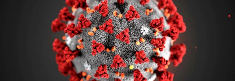  La imagen muestra una representación del virus SARS-CoV-2 con sus proteínas de espiga características. 