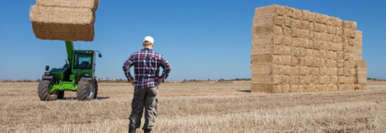 ¿Cómo se calcula el finiquito de un trabajador del sector agrario?
