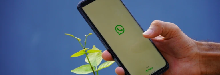  mano sujetando móvil con WhatsApp abierto frente a planta y pared azul 